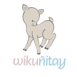 Wikuñitay